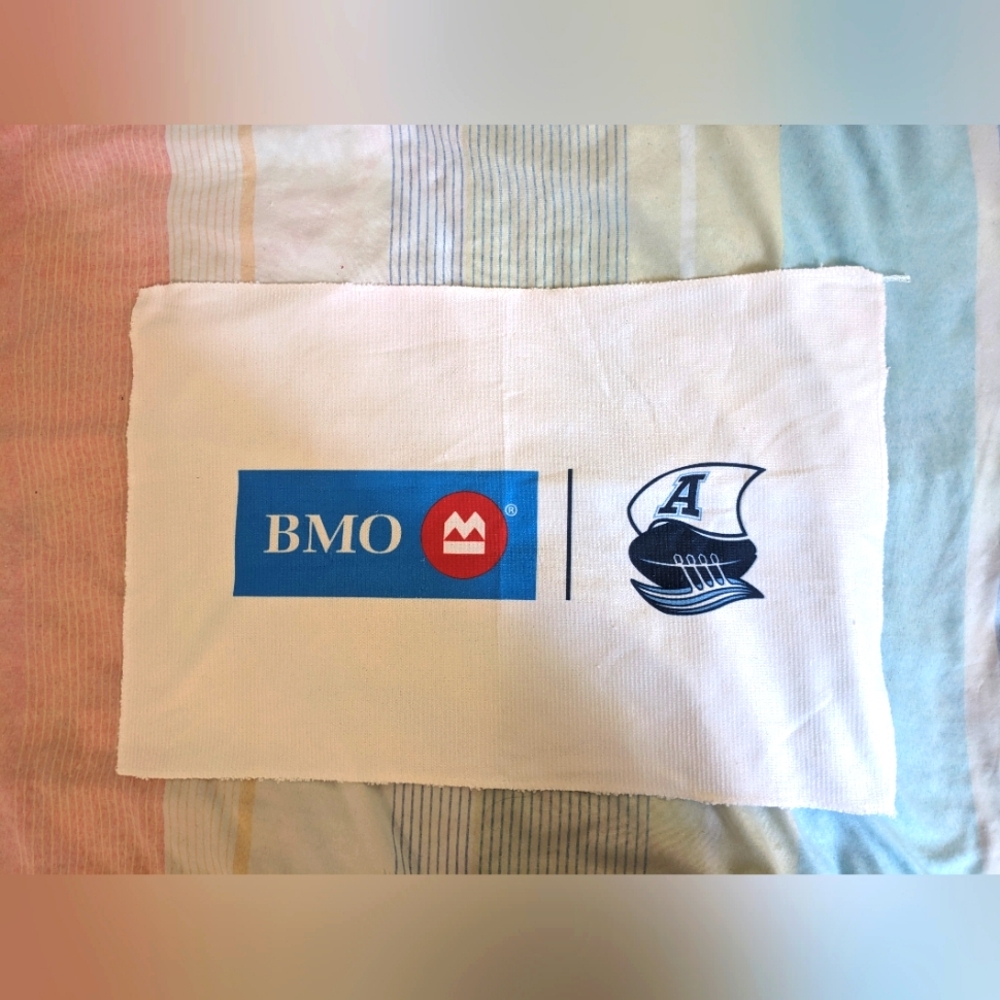 Argonauts | BMO Collab Mini Towel